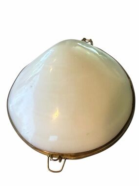 Vintage Mother of Pearl Pill Box Hinged Trinket Shell Case Ornate 3.5”